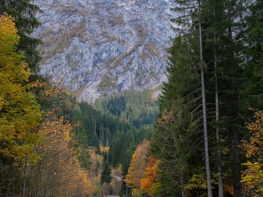Landstraße im Herbst, im Hintergrund die bayerischen Berge.